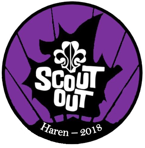 File:Coordinatorenbadge Scout Out 2018.jpg