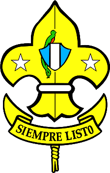 File:Asociación de Scouts de Guatemala.png