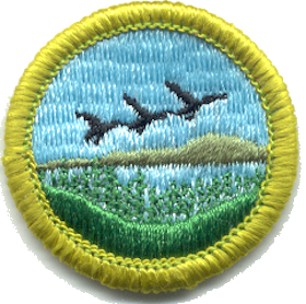 File:Fish and Wildlife Management merit badge, type J front.png