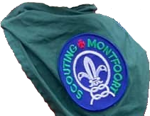 File:Das Scouting Montfoort.png