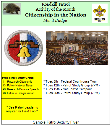 Citizenship in the Nation Merit Badge Activity Planner - ScoutWiki