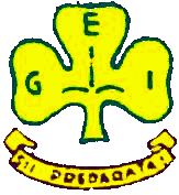 Logo UNGEI 1945