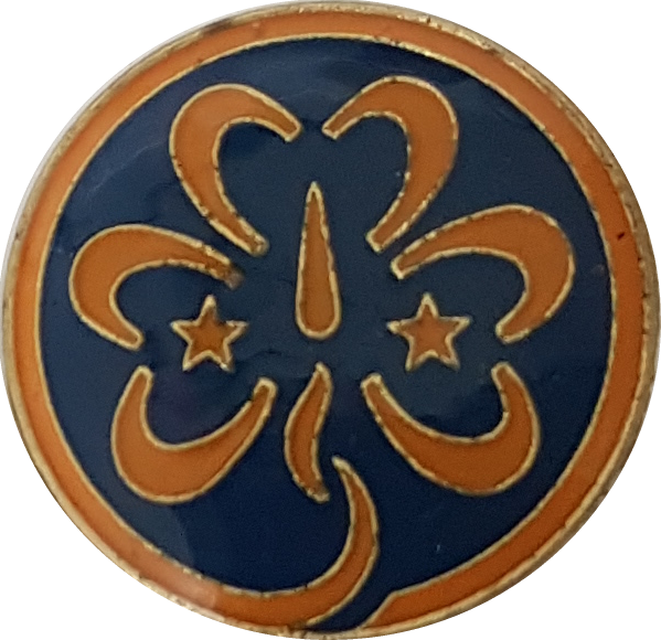 File:Wagggs pinssi.png