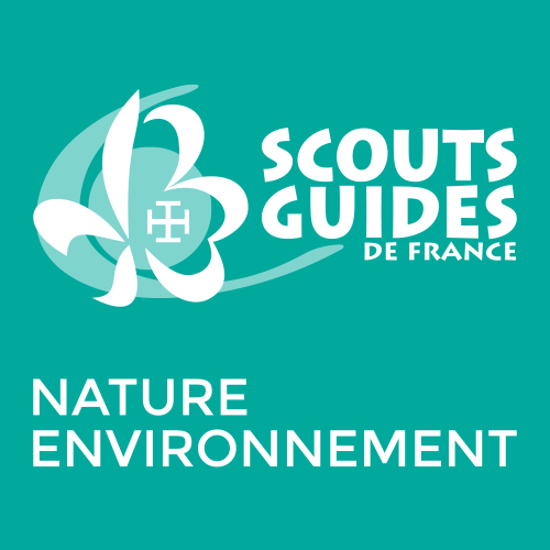 File:SGDF Nature-Environnment-2016.png