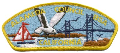 Csp Alameda Council.jpg