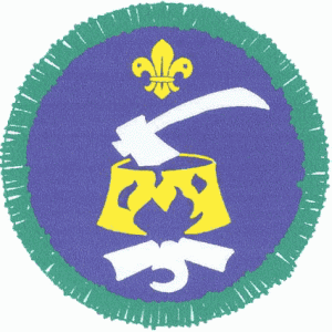 File:Scouting Skills activity badge.png