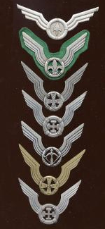 File:Badge france raiders scouts.jpg