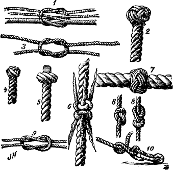 File:Nf knots.png