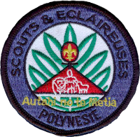 File:Mouvement Scouts et Eclaireuses Autahi no te Mesia.png