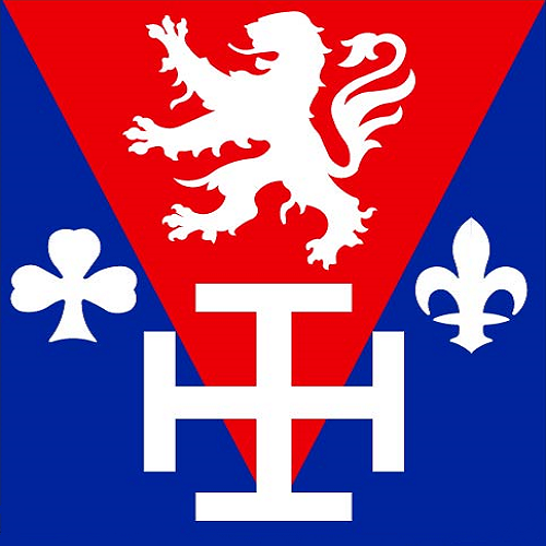 File:Logo SGDF Lyon Presquile.png