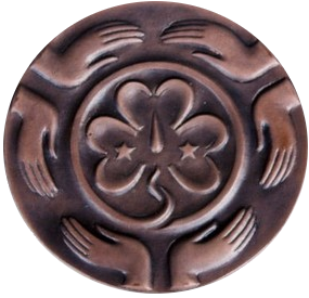 File:Médaille bronze AMGE.png