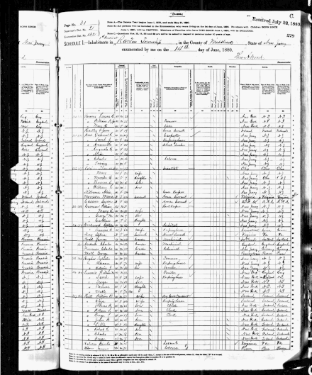 1880 US Census.gif