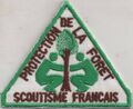 ~ 1985 Protection de la Forêt Scoutisme Français