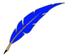 Plume bleue.png