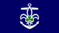 Sea Scout Flag (Scouting Ireland).png