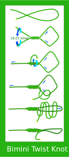 File:Bimini Twist knot.svg