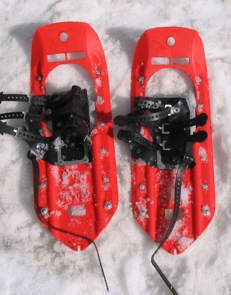 File:MSR snowshoes.jpg