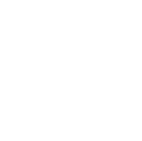 File:Organization of Russian Young Pathfinders.svg