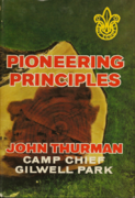 Pioneering principles.png