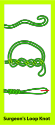 Surgeon's Loop knot.svg