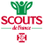 Scouts d'Afrique Occidentale Française