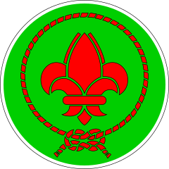 Scouts vietnamiens de France