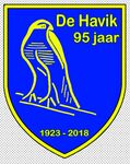 Logo de havik.jpg