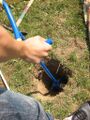 creuser (à la griffe de jardin) 3 trous de ~50cm de profond en triangle pour planter les 3 mâts.