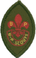 Asociación Argentina de Scouts de Baden Powell
