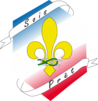 Conférence française de scoutisme