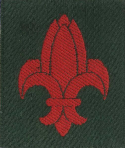 File:Scoutisme Indochinois.jpg
