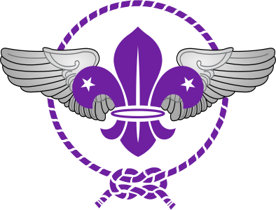 File:World Scout Emblem Air Scout.svg