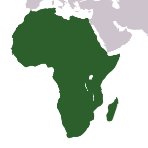 File:Africa icon.svg