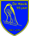 Logo de havik.svg