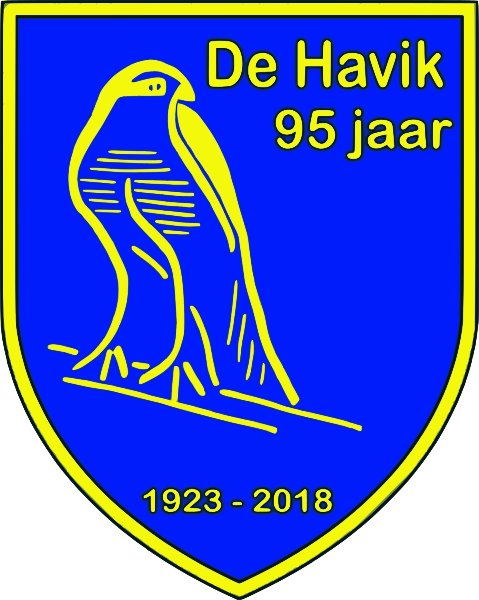 File:Logo de havik.svg