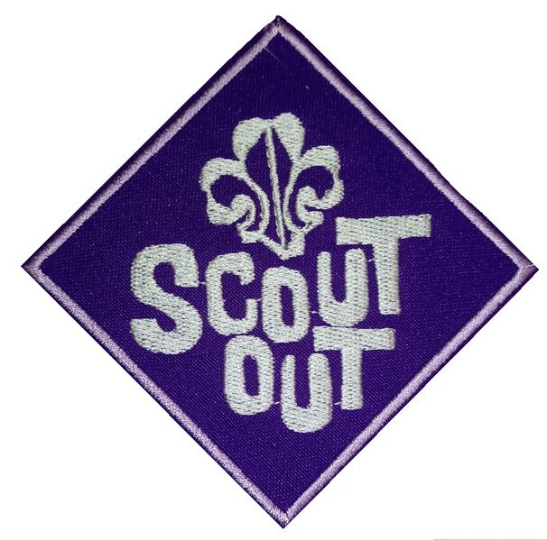 File:Dasbadge Scout Out vanaf 2018.jpg