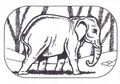 Hathi : l'éléphant sauvage, qui vit depuis plus de cent ans, est le Maître de la jungle. Hathi ne fait jamais les choses qu’en leur temps, et c’est une des raisons pour lesquelles sa vie est si longue. C'est lui qui proclame la Trêve de l’Eau, comme son père, avant lui, l’avait proclamée cinquante ans plus tôt, lorsque l'eau vient à manquer dans la Jungle. Hathi est le Gardien de la Trêve.