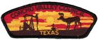 Texas Southwest Council (TSWC) #741