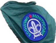 Das Scouting Montfoort.png