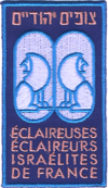 EEIF 2013 badge.png