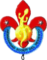 Agrupación Hermandad Scout del Desierto.png