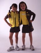 Uniform Brownie Guides