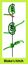 Blacke's hitch knot.png