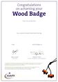 Wood-Badge-UK.jpg