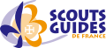 Logo des SGDF 2006-2019