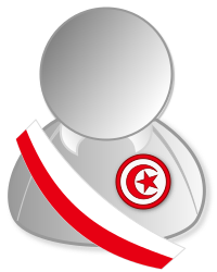 File:Tunisia politic personality icon-flag.svg