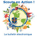 Scouts-en-action.gif