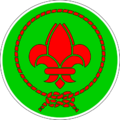 Scouts vietnamiens en France