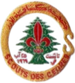 Cedars Scout Association