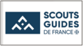 Drapeau officiel des Scouts et guides de France (logo complet)